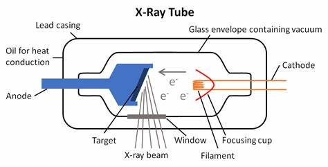 x线为什么锥形束医学影像学 ｜ X线成像_https://www.jmylbn.com_新闻资讯_第13张