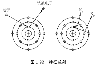 x线为什么锥形束医学影像学 ｜ X线成像_https://www.jmylbn.com_新闻资讯_第12张