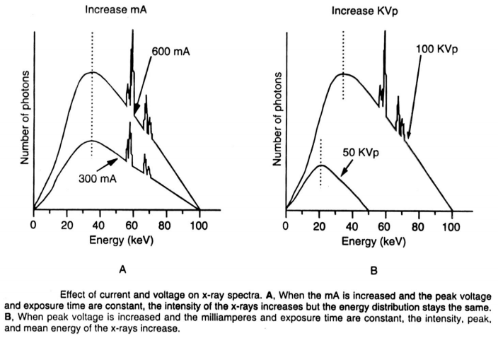x线为什么锥形束医学影像学 ｜ X线成像_https://www.jmylbn.com_新闻资讯_第15张