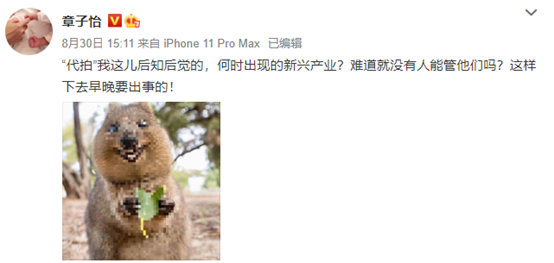 谭松韵庭审被偷拍：1张图赚1万，暴利“百亿代拍”背后是…（视频/组图） - 6