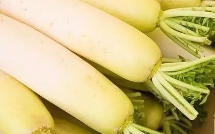 居家必備！蔬菜也有保質期，20種常見蔬菜保存方法… 家居 第3張