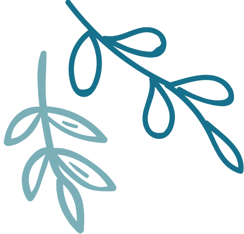 荷叶圆圆图片简笔画_荷叶圆圆图片素材_荷叶圆圆图片