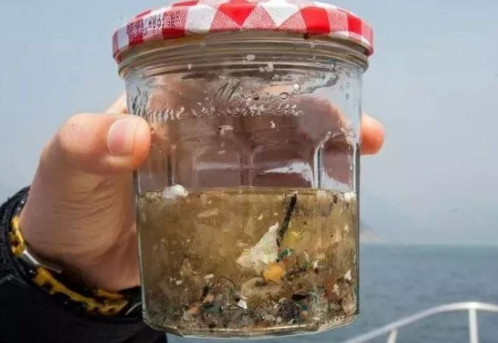 可食用水球购买 科学家警告:你吃的不是海鲜,你一年可能吃了上万块