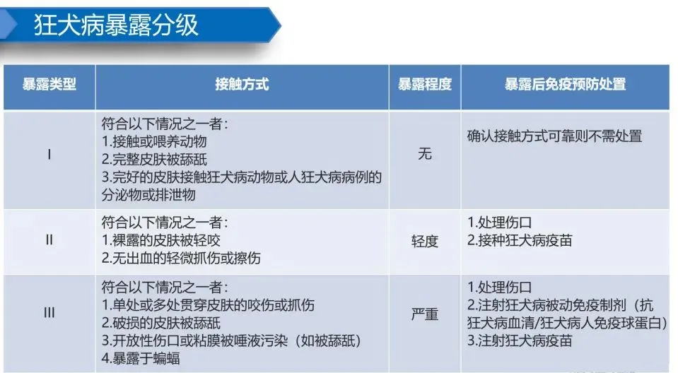 动物门诊用什么x光机动物咬伤不要慌 我院动物致伤门诊24小时全天候开诊啦！_https://www.jmylbn.com_新闻资讯_第18张