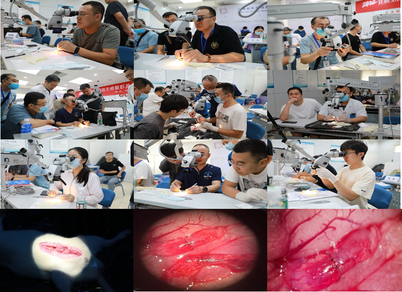 整形手术器械有什么2022首届全国男性生殖整形及显微手术技术培训班圆满收官_https://www.jmylbn.com_新闻资讯_第7张