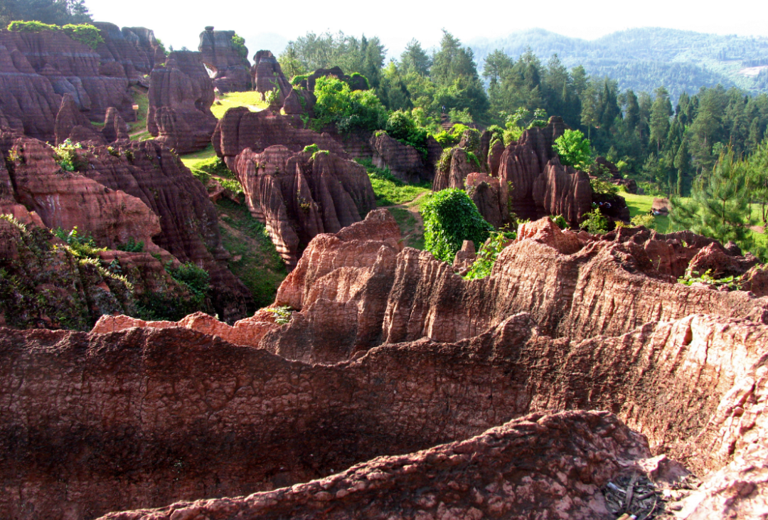 春茶骏眉中国产区有多美点此饱览中华峻美山水
