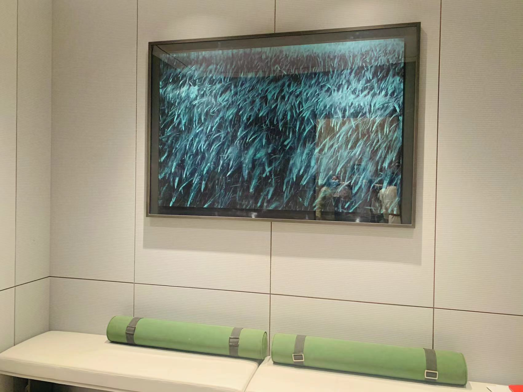 验资100万，黄埔全新*盘杀*，*新线报到手了…