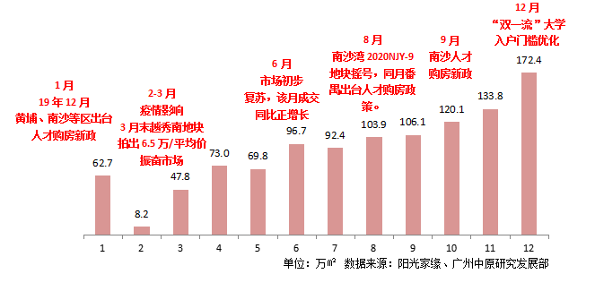 退潮后，黄埔稳了，南沙慌了，为什么？