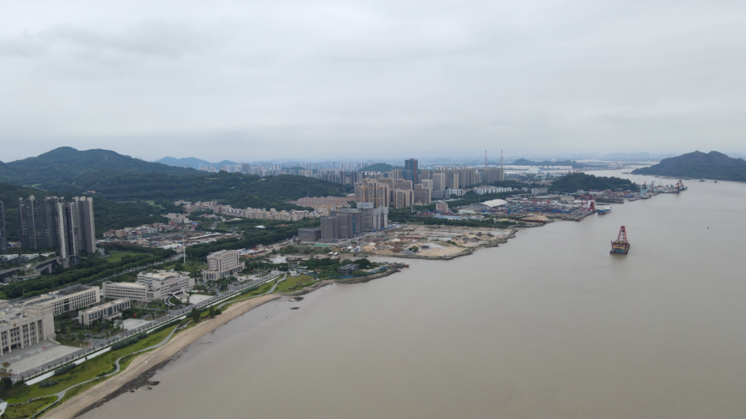 退潮后，黄埔稳了，南沙慌了，为什么？