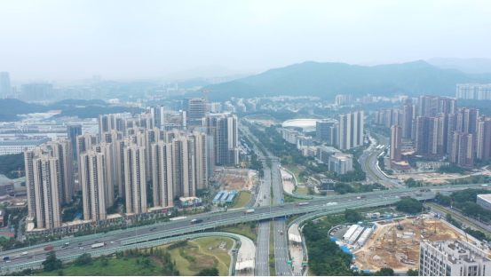 退潮后，黄埔稳了，南沙慌了，为什么？