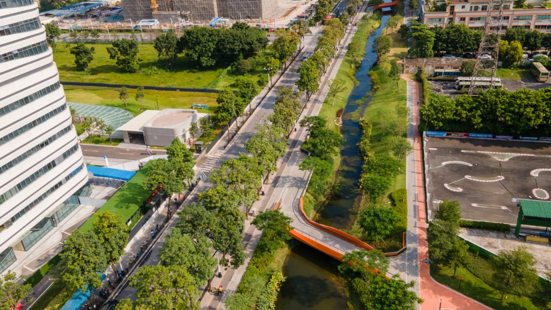 74平岛居！一路之隔是广雅？刚改型江景房，你买单不？