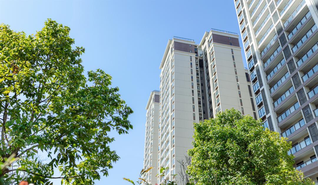 增城一手*，全军覆没？不！这个牛盘，支棱住了