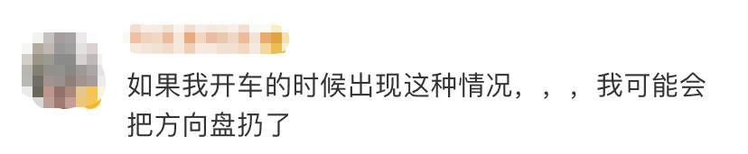 正开着车，挡风玻璃上惊现2米大蛇！太吓人了...（视频/图） - 8