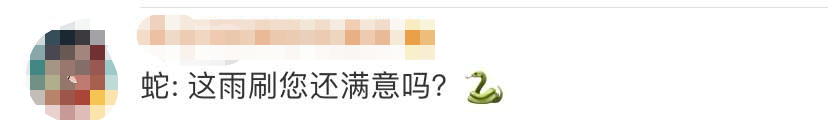 正开着车，挡风玻璃上惊现2米大蛇！太吓人了...（视频/图） - 10