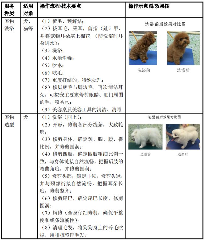 從瑞鵬公開數據，看連鎖寵物醫院經營的小秘密 萌寵 第17張