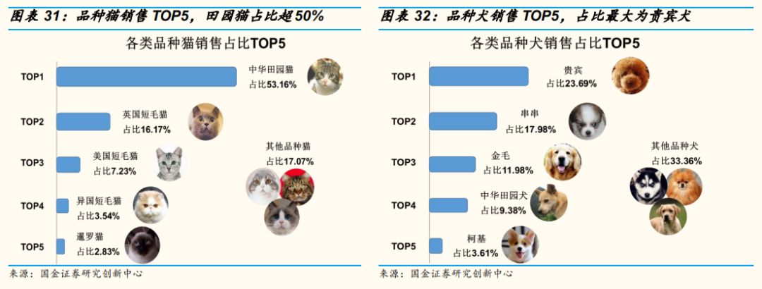 新生代貓奴畫像：8090後、一二線女人上班族，愛看動漫愛刷劇 寵物 第15張