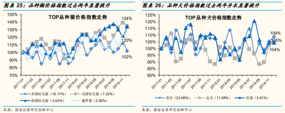 新生代貓奴畫像：8090後、一二線女人上班族，愛看動漫愛刷劇 寵物 第12張