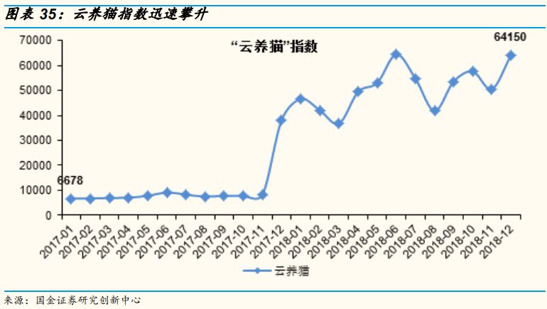 新生代貓奴畫像：8090後、一二線女人上班族，愛看動漫愛刷劇 寵物 第16張