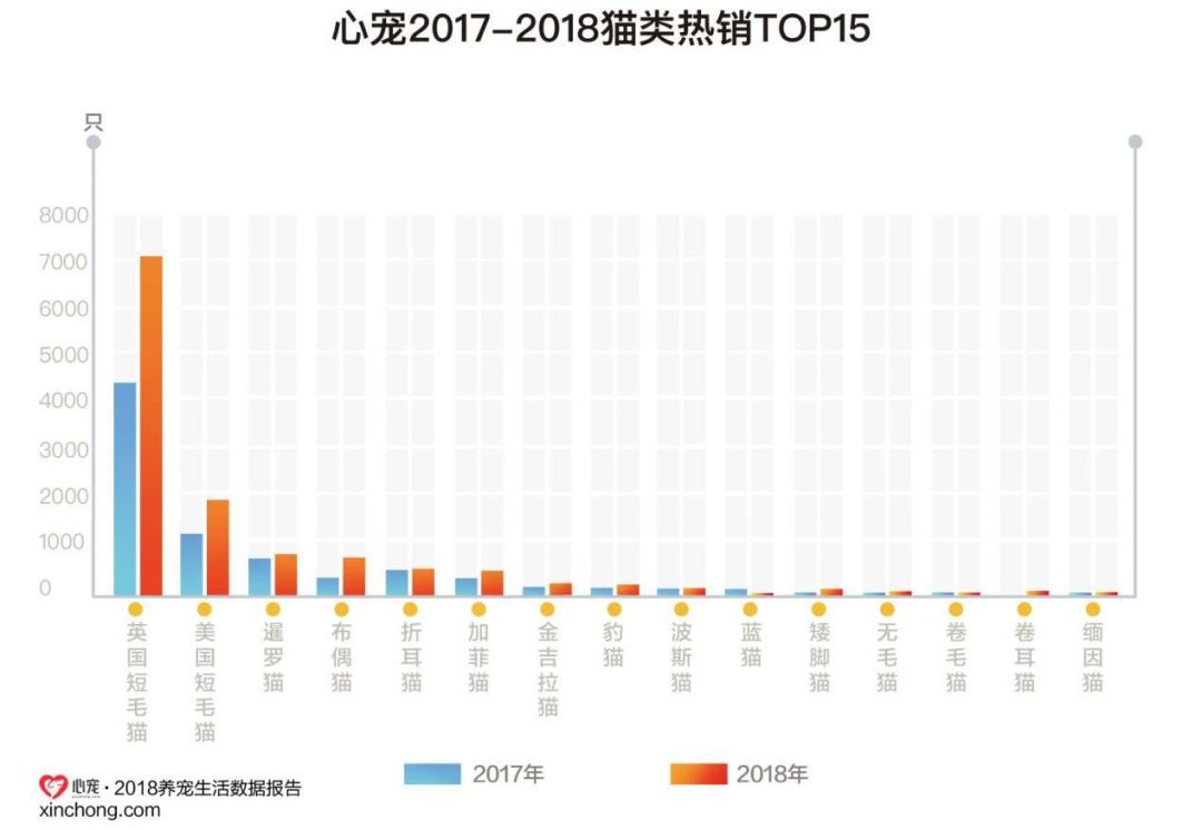 95後成「貓奴」新興力量，更愛貓零食和濕糧 | 2018貓糧消費趨勢洞察 寵物 第9張