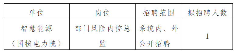 国家电投集团智慧能源(国核电力院)招聘公告