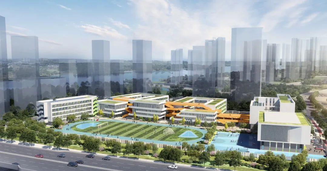 南沙新建中小学2所，横沥岛引入名校办学呼声大(图5)