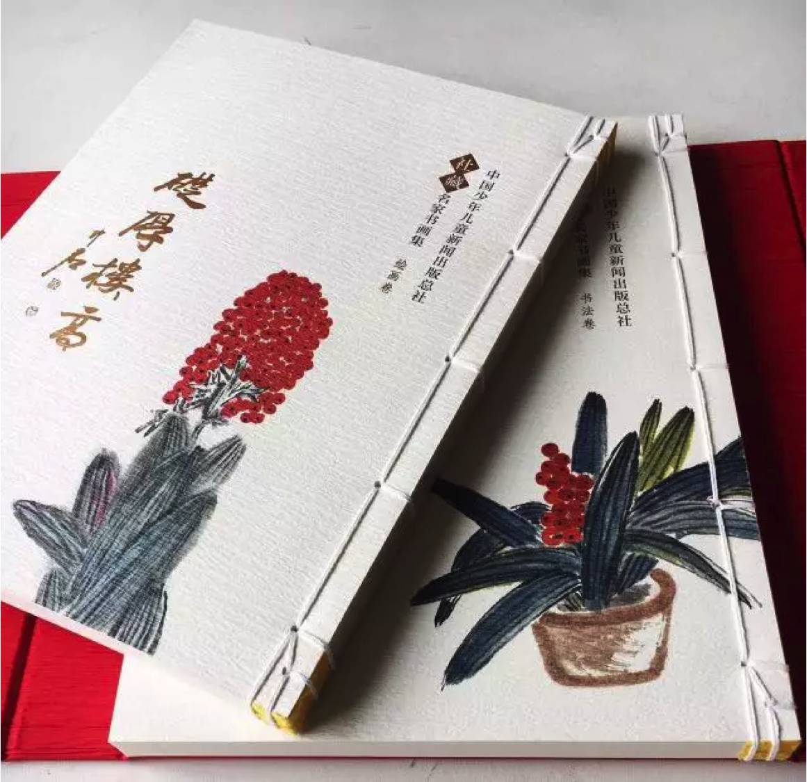 業(yè)畫冊(cè)印刷_東莞長安畫冊(cè)印刷_東莞萬江畫冊(cè)印刷