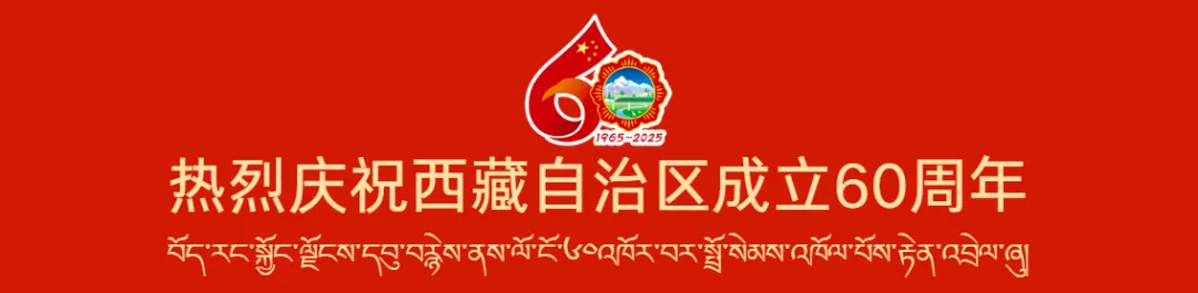 西藏的电将0.009秒闪送到广东,0.009秒！西藏“绿电”闪送广东
