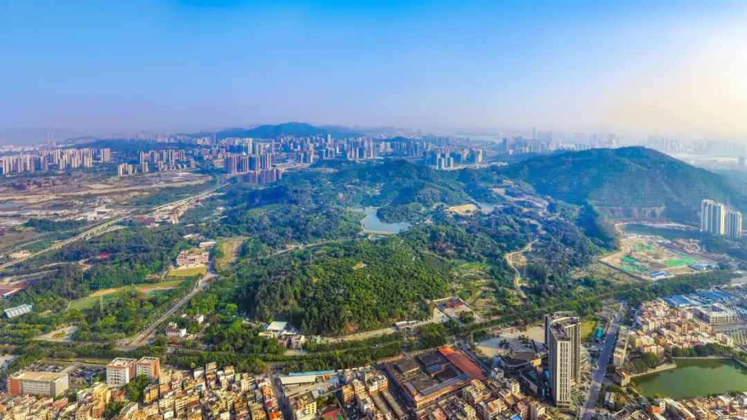 南沙黄阁板块佳兆业凤鸣山加推，准现楼值得买！