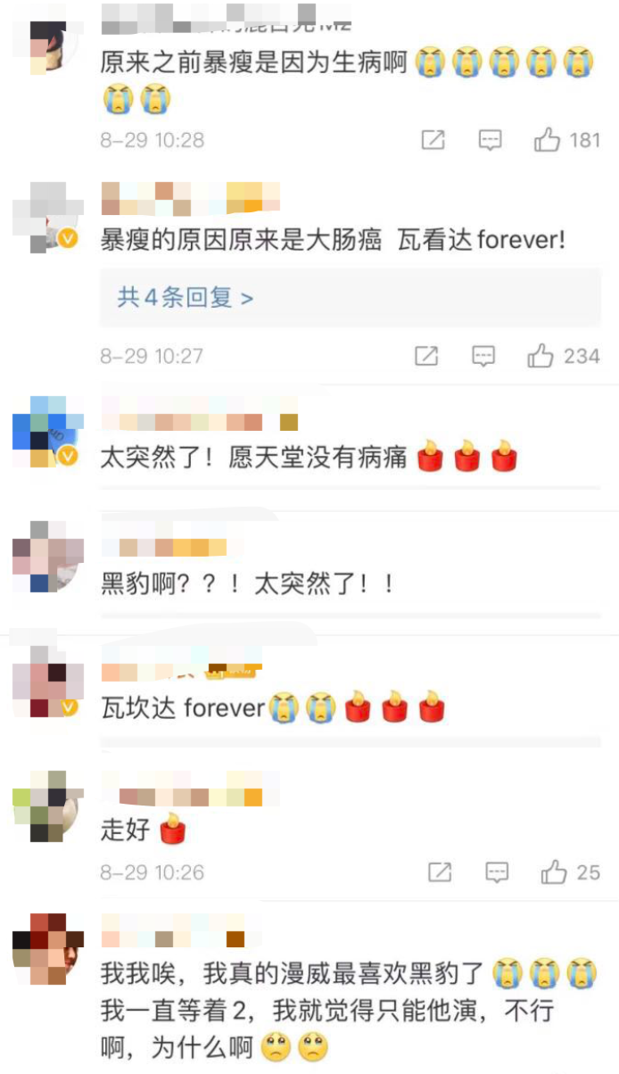 漫威黑豹_漫威黑豹简笔画_漫威黑豹厉害吗