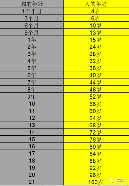 猫繁育人必看的出生时间表 猫咪趣 微信公众号文章阅读 Wemp