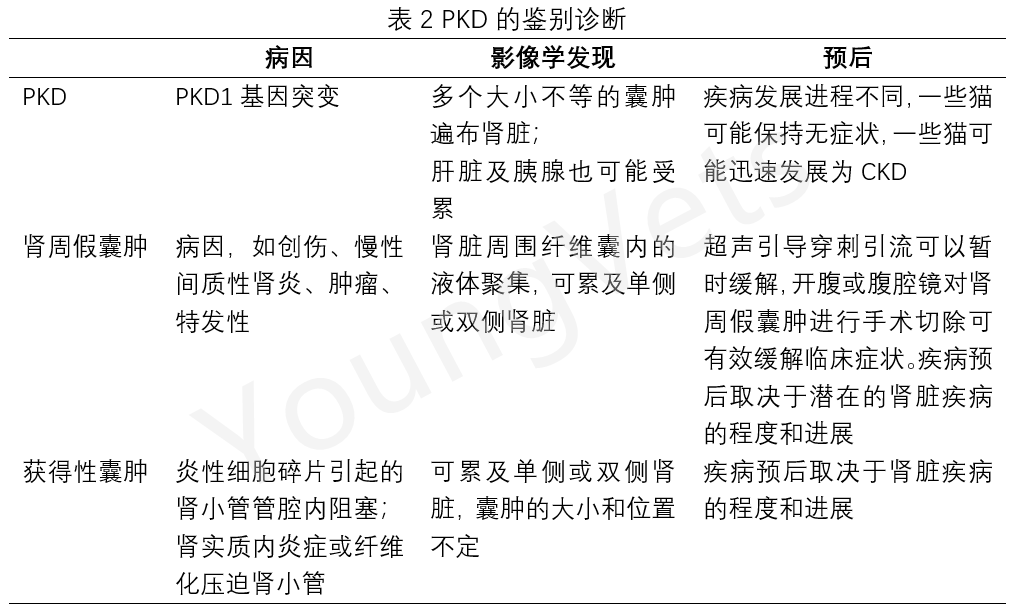 猫疾病当我知道我家猫有多囊肾病的时候，我崩溃了_病症_维宠宠物导航网