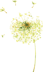 档案室英文_档案征集办法_档案征集工作方案