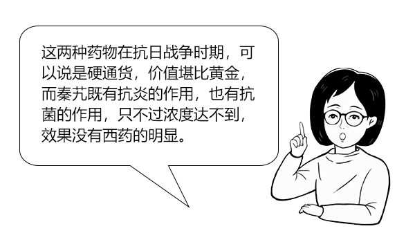 医用消疤贴怎么用大白话说中医第五百八十四期｜秦艽加上白僵蚕，祛斑消疤不麻烦_https://www.jmylbn.com_新闻资讯_第15张