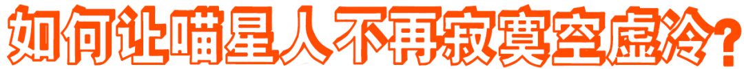 鏟屎官離家久了，貓會想你想到生病 未分類 第19張