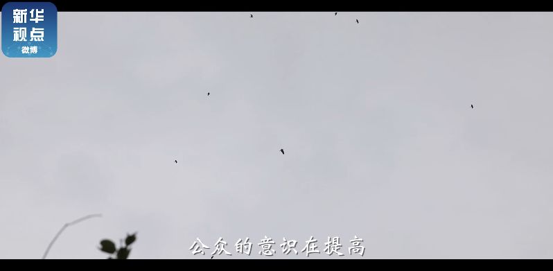 



他们，守护着城市上空翱翔的良禽
