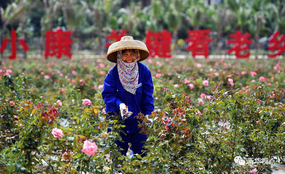 《新闻联播》中这位专家在访谈里哭了 无数网友动容