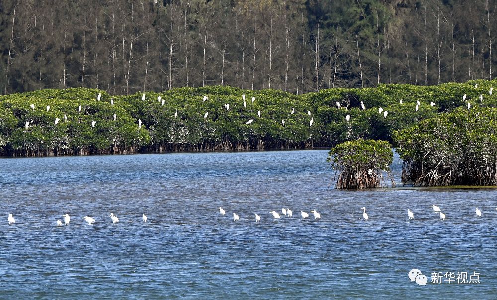 《新闻联播》中这位专家在访谈里哭了 无数网友动容