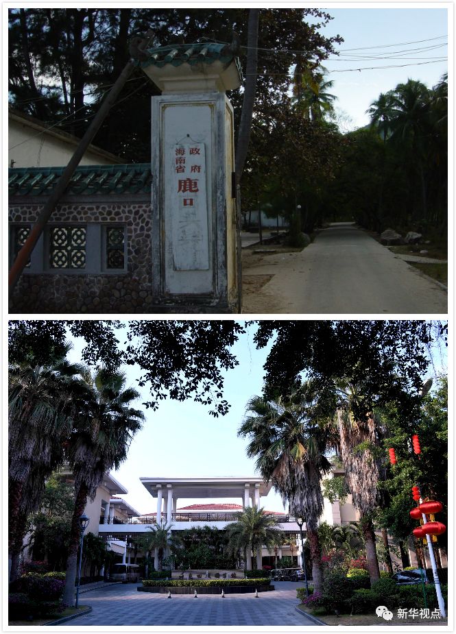 《新闻联播》中这位专家在访谈里哭了 无数网友动容