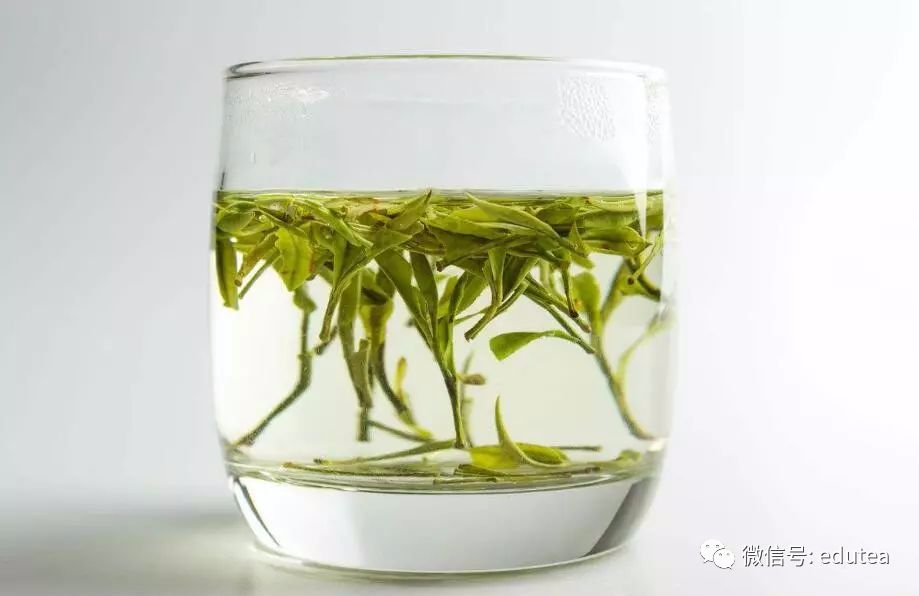 严重伤胃的8种喝茶习惯，看你占了几条？