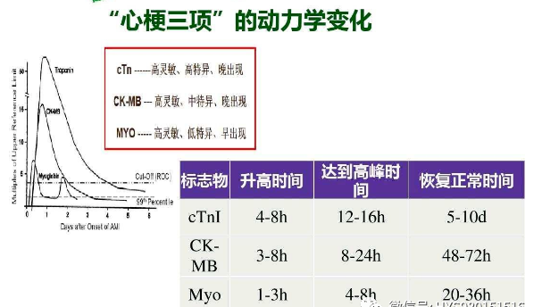 myo医学上指什么心肌三项：Myo、cTnI、CKMB 临床意义_https://www.jmylbn.com_新闻资讯_第3张