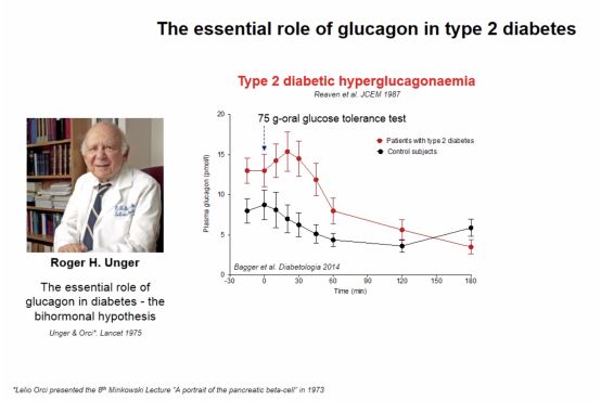 第54屆Minkowski獎 | 揭曉胰高血糖素在2型糖尿病的作用：發現黑暗中的閃光點 健康 第6張