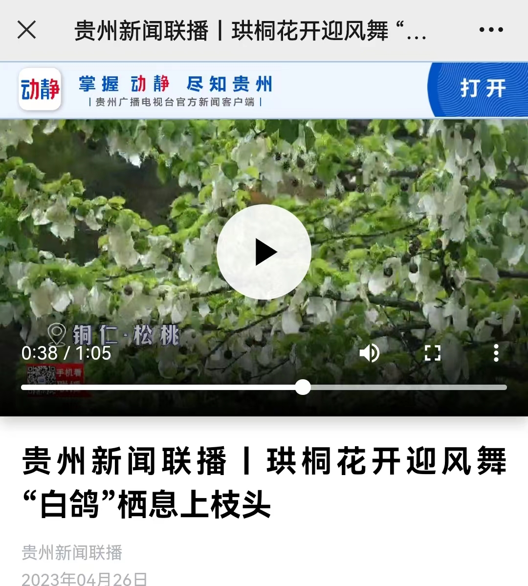 【外媒看松桃】松桃2023年4月外宣“成績單”來了！
