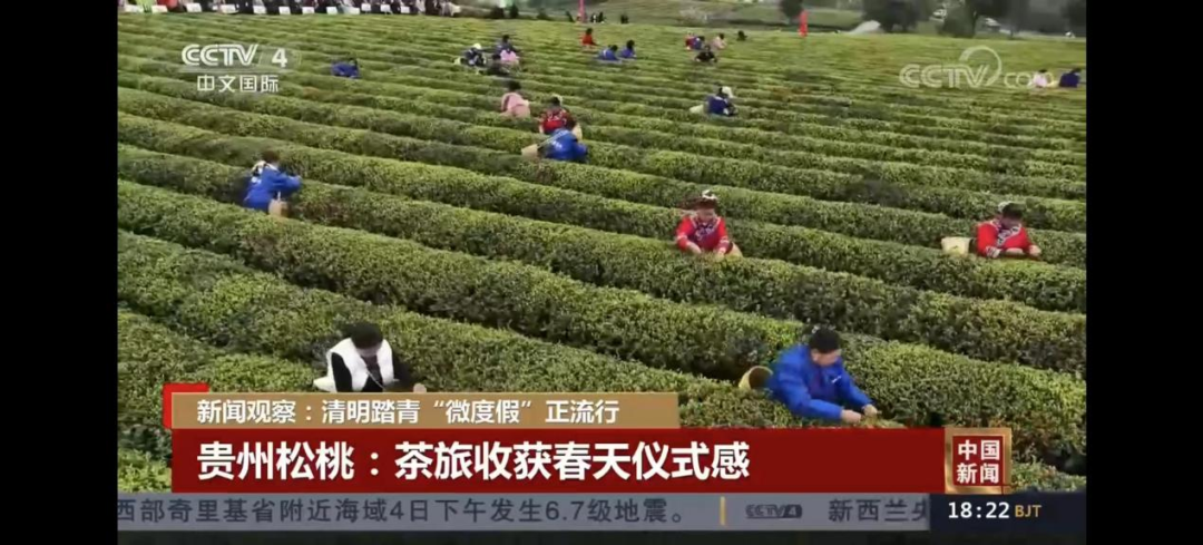 【外媒看松桃】松桃2023年4月外宣“成績單”來了！