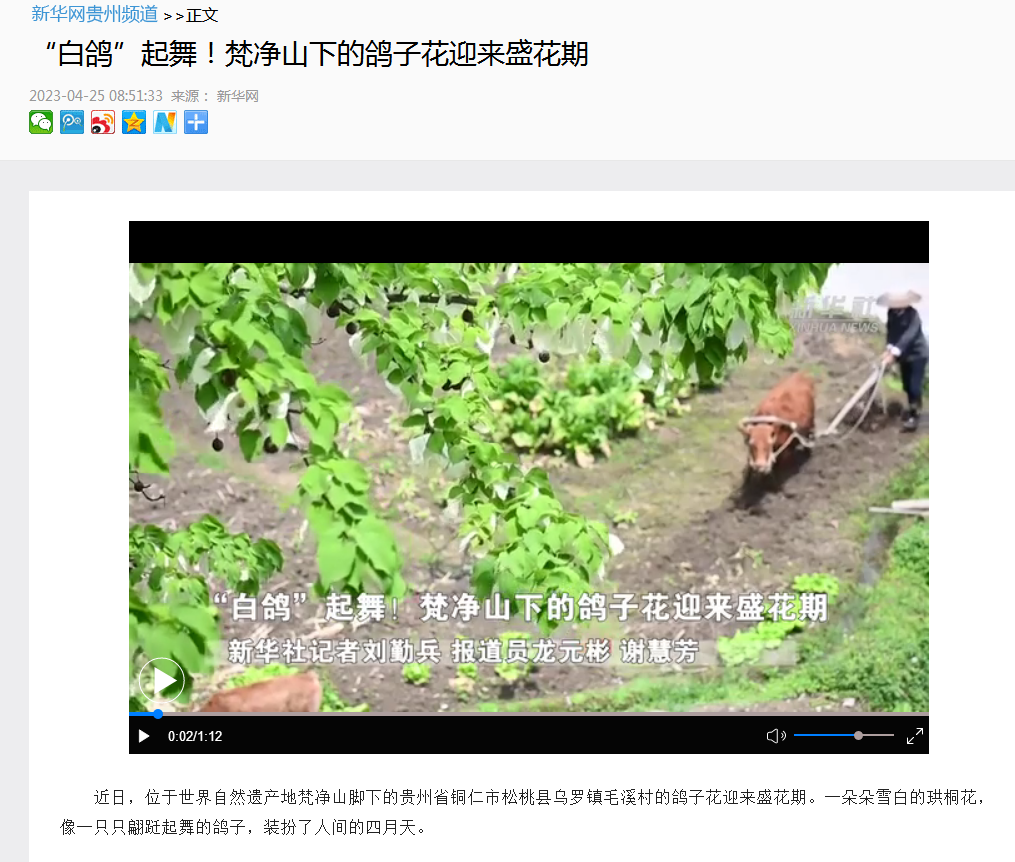 【外媒看松桃】松桃2023年4月外宣“成績單”來了！