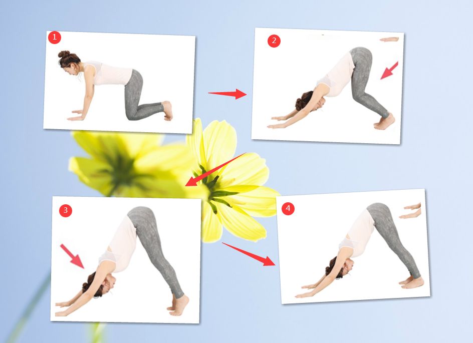 世贸通财富俱乐部