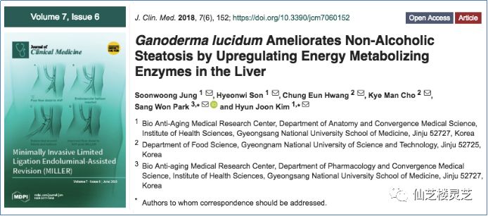 韩国研究发现 吃灵芝也许挡不住胖的节奏 但脂肪肝 血糖 血脂却相安无事 仙芝楼灵芝 微信公众号文章阅读 Wemp