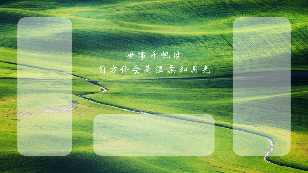 绿色护眼电脑壁纸 4k 高清壁纸