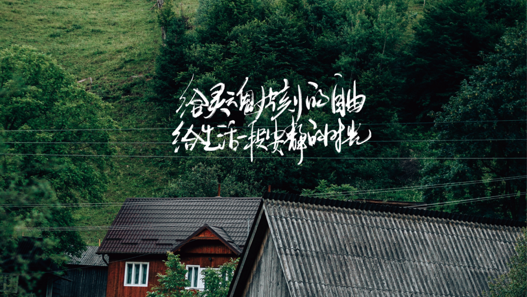 绿色护眼电脑壁纸 4k 高清壁纸
