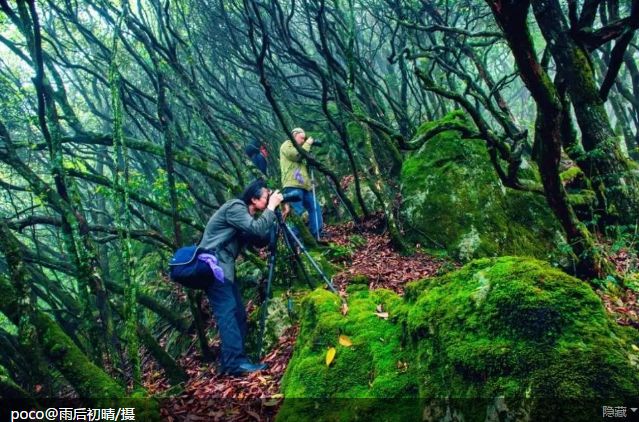 浙里的山水秘境，「海底森林」，最適合燥熱的天氣去了！ 旅行 第3張