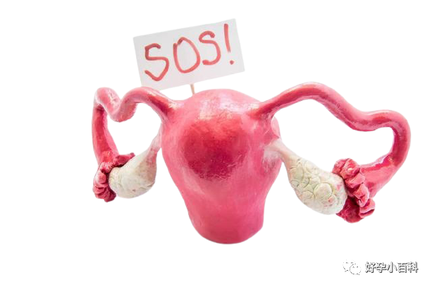 「卵巢早衰」年轻化的真相，损害卵巢的4大行为！